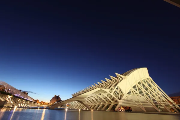 City of arts and sciences In Valencia — Stock Photo, Image