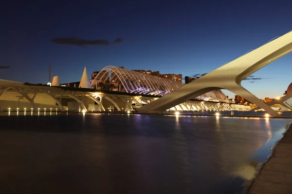 Ciudad de las Artes y las Ciencias de Valencia — Foto de Stock