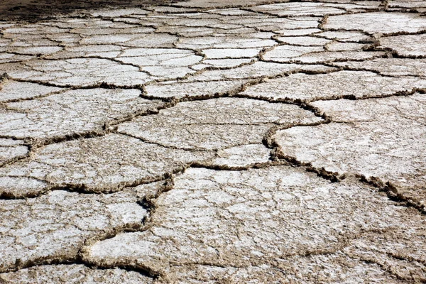 Dry salt field — Stock Photo, Image