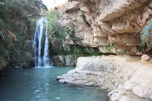 Waterfall in national park Ein Gedi — Stock Photo, Image