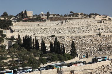 Eski şehir kutsal toprakların мiew