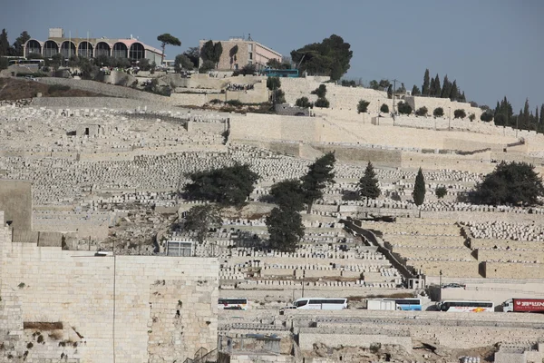 Мiew of the old city Holy Land — Stock Photo, Image