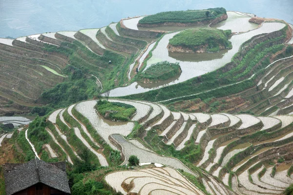 Terraços de arroz longji — Fotografia de Stock