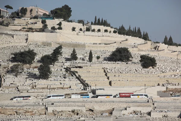 Мiew of the old city Holy Land — Stok Foto