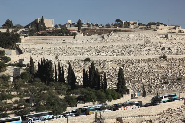 Miew of the old city Holy Land — стоковое фото