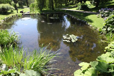 bahçede yaz, Norveç