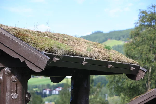 Casa Velha em Trondheim Folk Museum — Fotografia de Stock