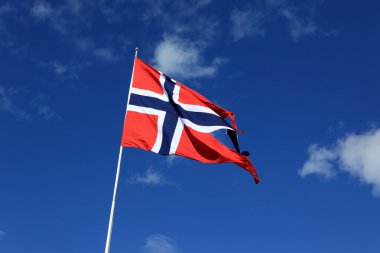 Rüzgarda bir Norveç bayrağı
