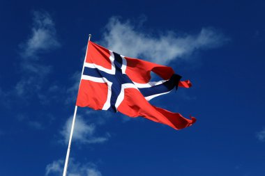 Norveç bayrağı