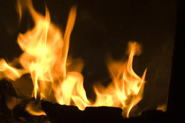 Feuer brennt in der Nacht. — Stockfoto