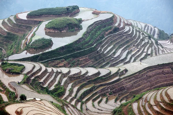 Longji rýžové terasy, Čína — Stock fotografie