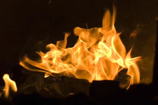 Brûlage et éclat de morceaux de bois dans la cheminée — Photo