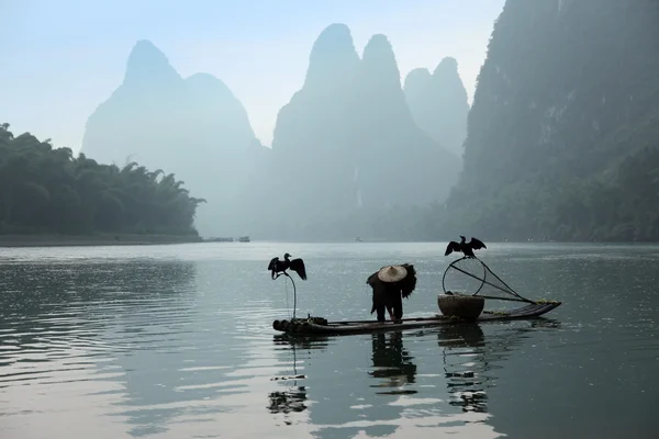 Chinese man fishing with cormorants birds — Stock Photo, Image