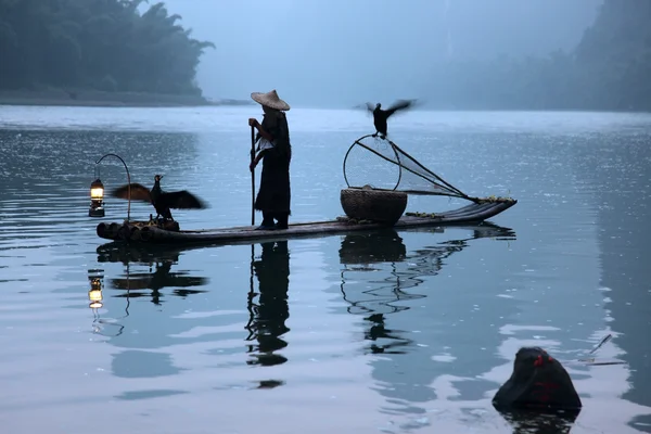 Homme chinois pêchant avec des cormorans oiseaux — Photo