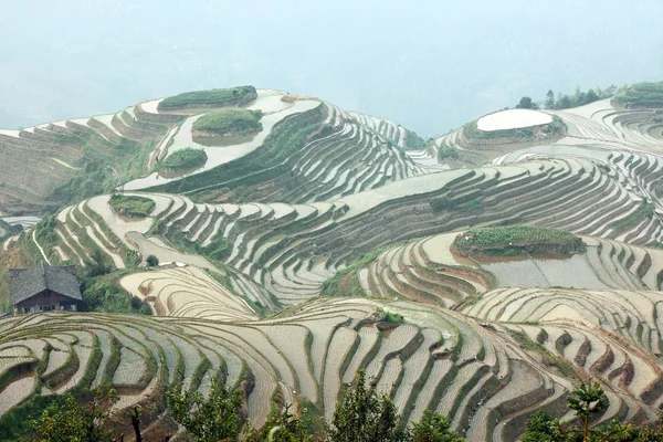 龙脊梯田、 广西省中国 — 图库照片