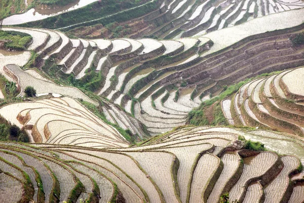 Terrazze di riso Longji, provincia del Guangxi, Cina — Foto Stock