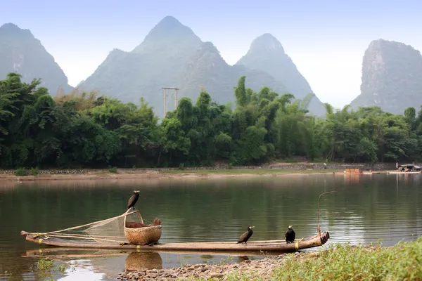 Boot mit Kormoranen Vögel — Stockfoto