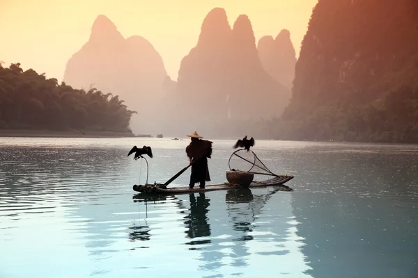 Hombre chino pescando con cormoranes pájaros — Foto de Stock