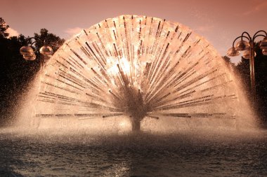 kamu kare oslo Norveç dekoratif Çeşmesi 