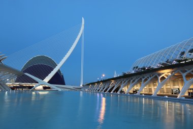 Valencia karmaşık şehir sanat ve bilim