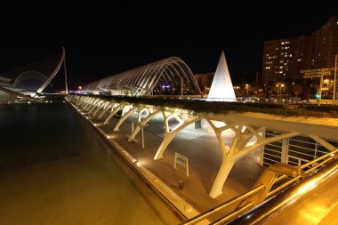 Valencia karmaşık şehir sanat ve bilim