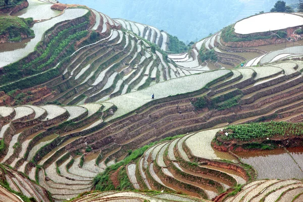 Terrazas de arroz Longji — Foto de Stock