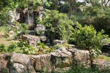 Hayvanat Bahçesi, Bangkok, Tayland