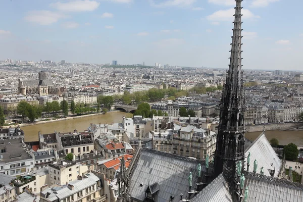 Pemandangan dari puncak Katedral Notre Dame — Stok Foto