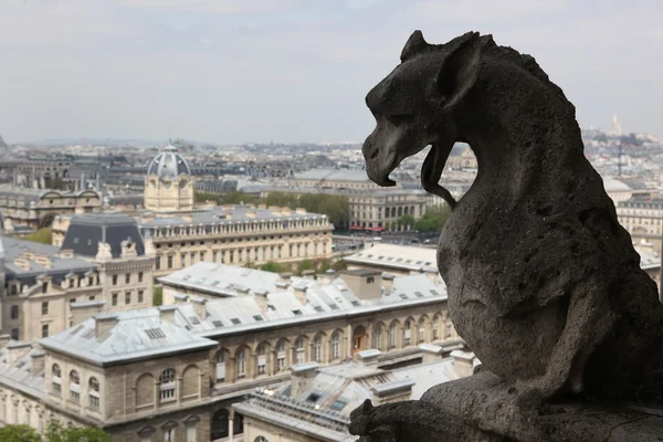 Gargoyle in pietra sulla cima della Cattedrale di Notre Dame — Foto Stock