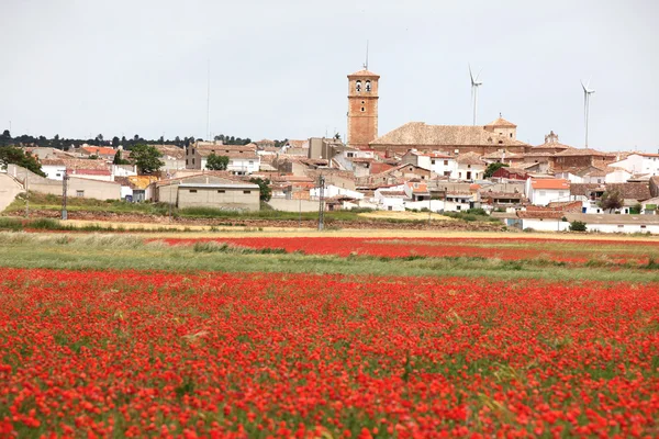 Klasické venkovské Španělsko - červená makové pole — Stock fotografie