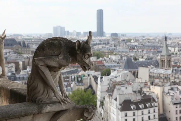 Stenen gargoyle bovenop de notre dame kathedraal — Stockfoto