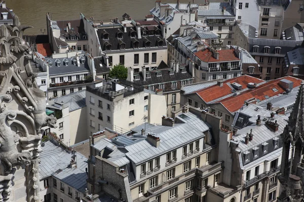 从巴黎圣母院的顶部查看 — 图库照片