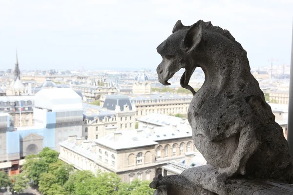 Gargoyle in pietra sulla cima della Cattedrale di Notre Dame — Foto Stock