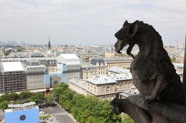 notre dame Katedrali üstüne taş çirkin yaratık