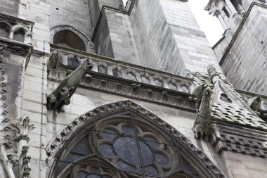 Notre dame de Paris