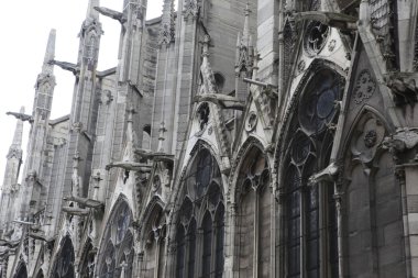 Notre dame de Paris