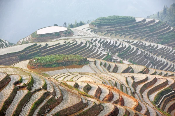 Terraços de arroz Longji, província de Guangxi, China — Fotografia de Stock