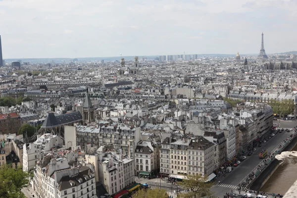 View from top of Notre Dame Cathedral — Stock Photo, Image