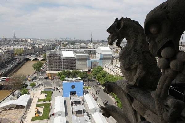 Notre dame Katedrali üstüne taş çirkin yaratık — Stok fotoğraf