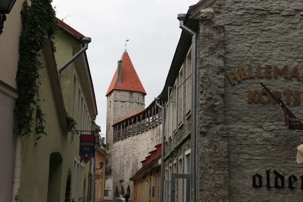 Edifici di Tallin — Foto Stock