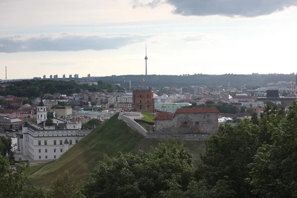 Giedyminas Hill — Stockfoto