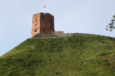 Vilnius gediminas Kulesi