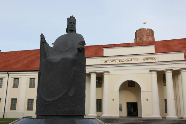 Национальный музей Литвы — стоковое фото