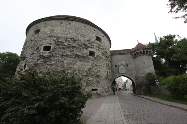 Porta famosa a Tallinn — Foto Stock