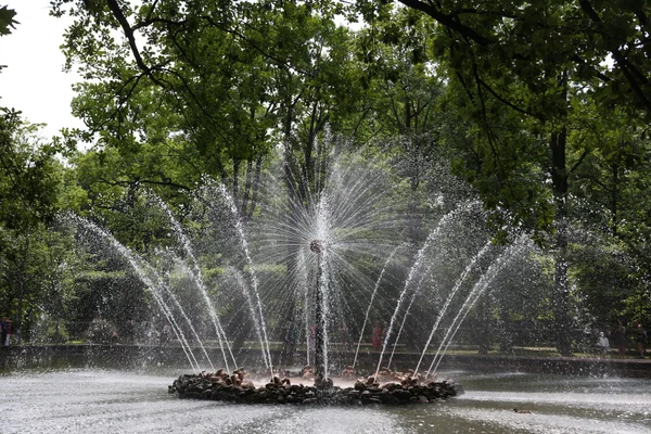 Fountain in Peterhof — Stock Photo, Image