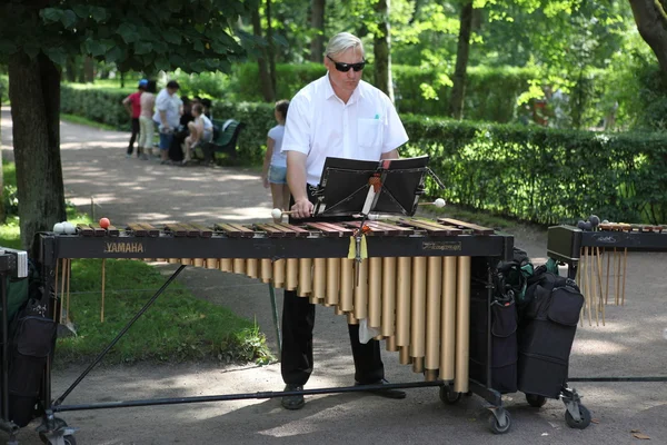 Band spielt auf Marimba, Xylophon — Stockfoto