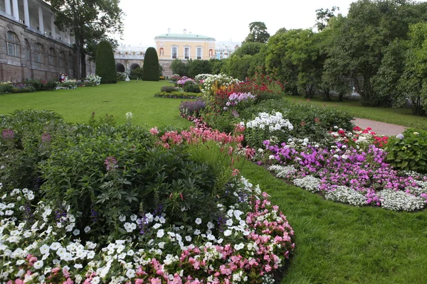 Katarzyna Pałac ogród — Zdjęcie stockowe