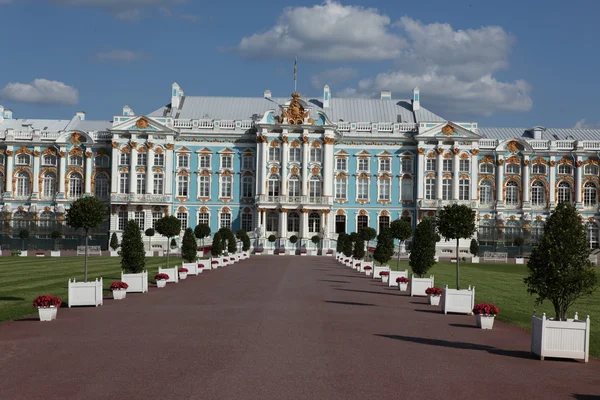 Catherine palast in st. petersburg — Stockfoto