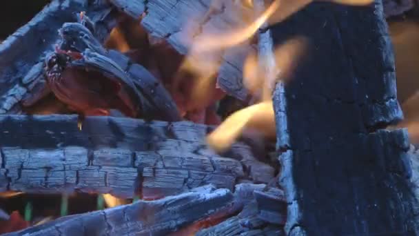 Огонь. — стоковое видео