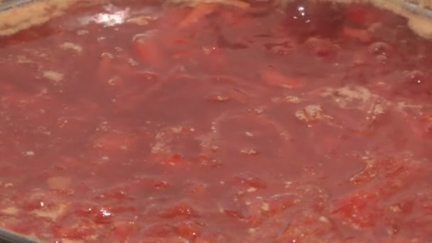 Borsch.. — Vídeo de Stock